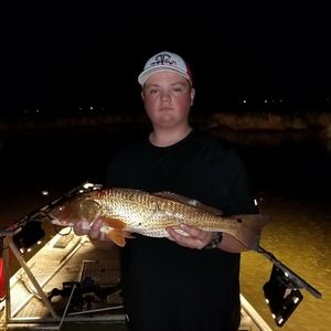 Meet your Posher, Cody